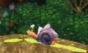 Snail