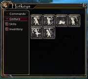 Beginner's guide gestures