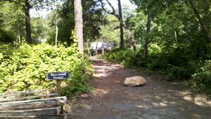 2012-06-09 10-10-29 342
