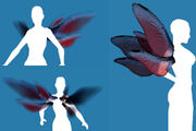 Wings Insect