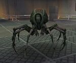 Arachnos Tarantula 01