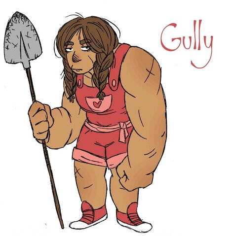 File:Gully.jpg
