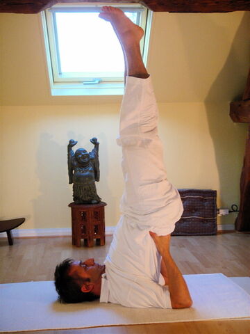 Tiedosto:Sarvangasana.jpg