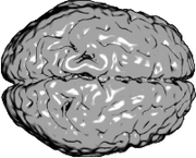 Hemispheres
