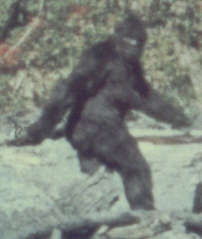 File:0817-bigfoot.jpg
