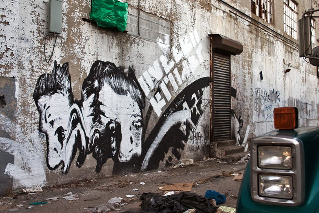 File:Bronx.jpg