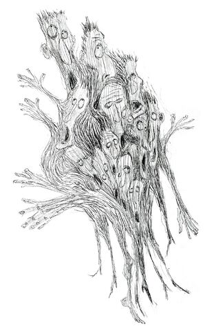 File:Heidi Smith ghost 19.jpg