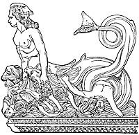 Scylla 19259 sm