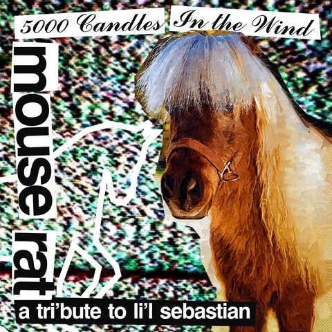 File:5000 Candles in the Wind.jpg