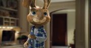 Hop e.b. you