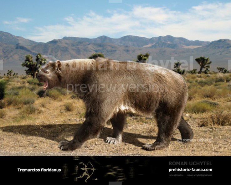 American Lion v Florida Short-faced (Cave) Bear - Carnivora