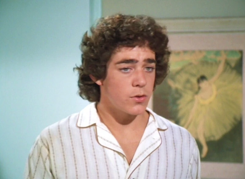 Image GregBradythebradybunch10706399799586.jpg The Parody