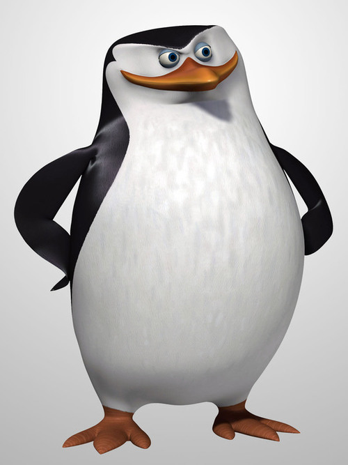 Skipper 2