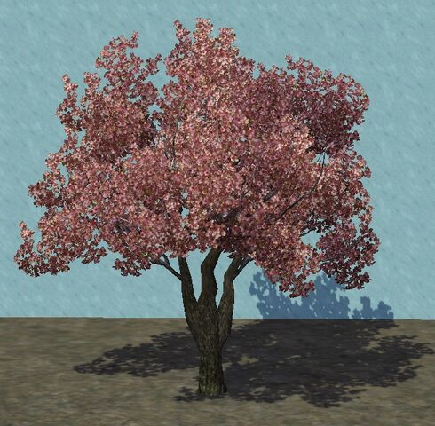 File:SmallCherry.jpg