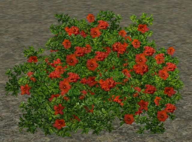 File:RedAzaleas.jpg