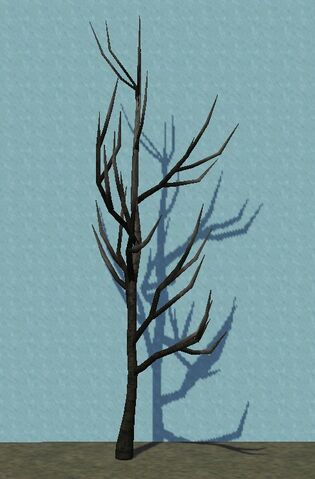 File:ScorchedTree.jpg