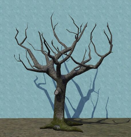 File:CreepyTree.jpg