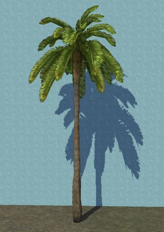 File:SHTPalm2.jpg