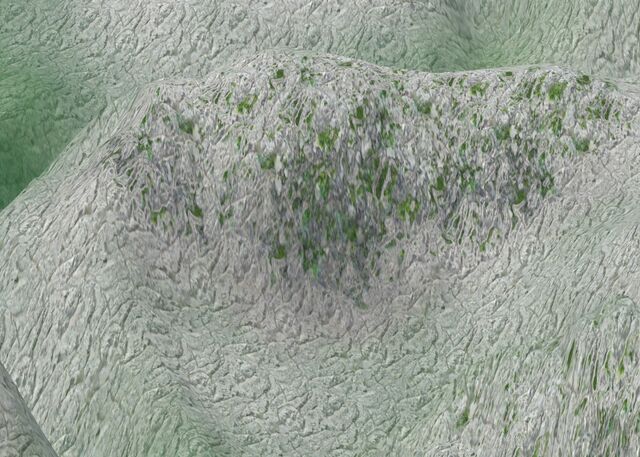 File:HSSnowMoss.jpg