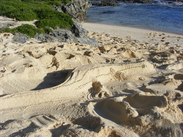 File:Skinkcastle2.jpg