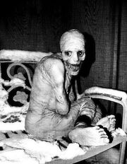 Russian Sleep Experiment