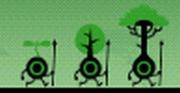 Drzewa.jpg