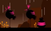 Ptaszki.png