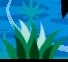 Grass.png