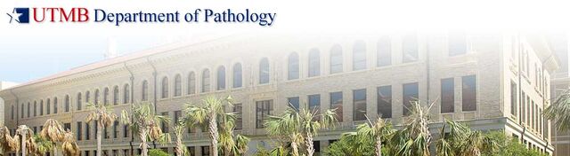 File:Header image.jpg