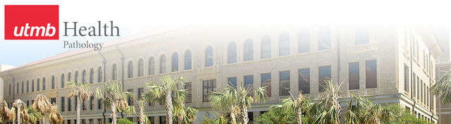 File:Utmb header image.jpg