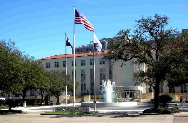 File:Bcm.jpg