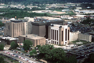 Lsu shreveport