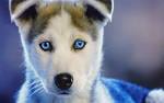 Images-44