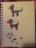 Crack pups
