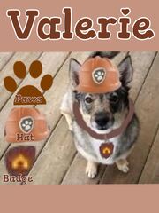 Valerie ref