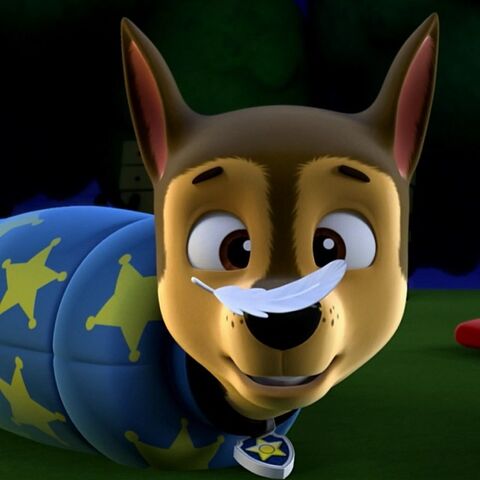 File:Chase with a feather on his nose.jpg