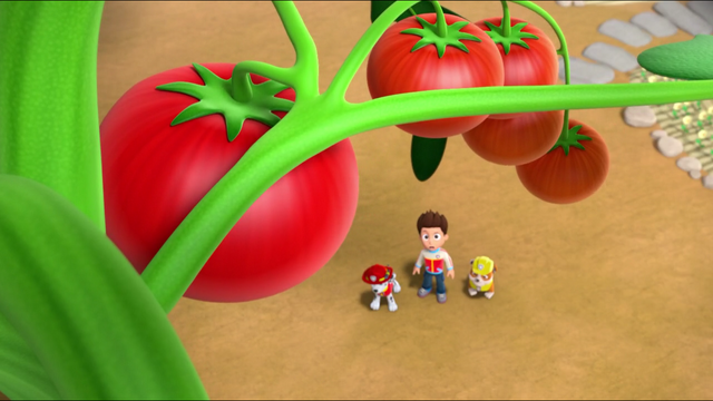 File:Screenshot 2017-01-03-11-30-11.png