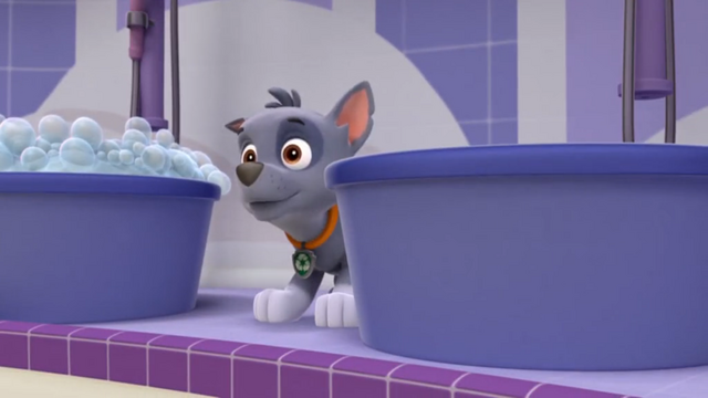 File:Splash (Rocky).png