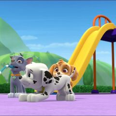 Marshall/Gallery/Pups and the Kitty-tastrophe | PAW Patrol Wiki | FANDOM powered by Wikia