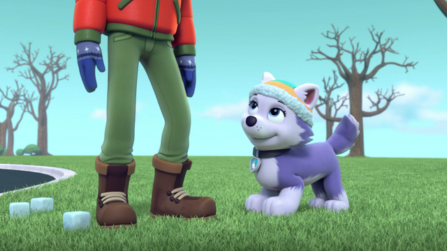 File:Screenshot 2016-12-28-20-42-57.png