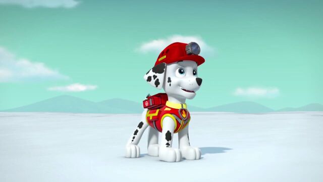 File:PAW.Patrol.S02E07.The.New.Pup.720p.WEBRip.x264.AAC 1201734.jpg