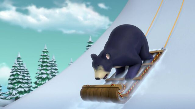 File:Sleepwalking Bear 32.jpg