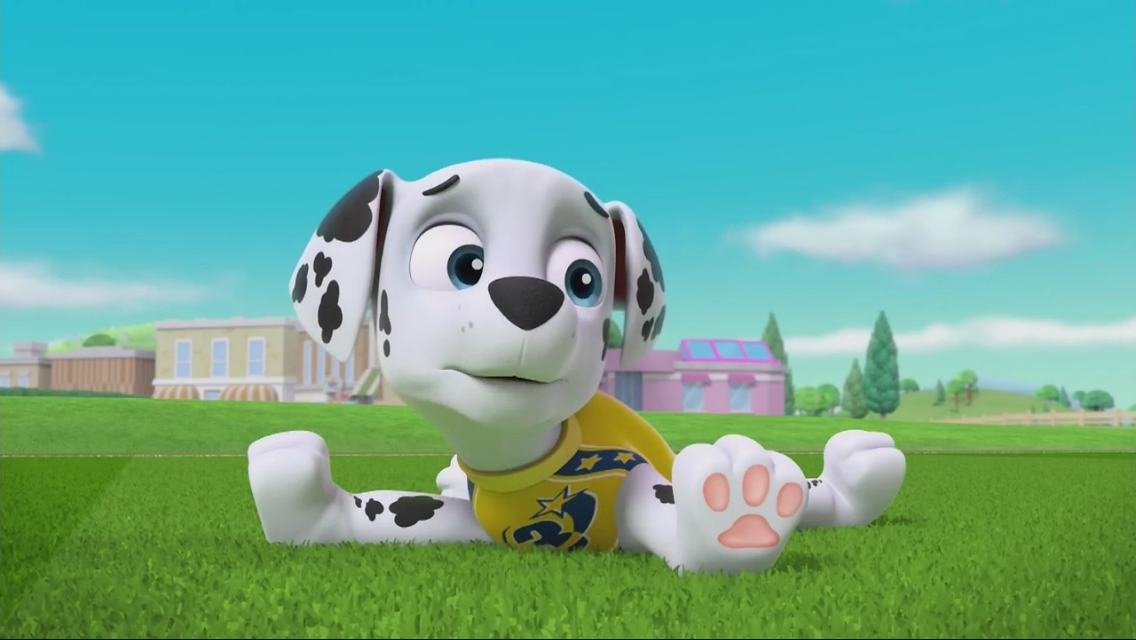 Image PAW Patrol Pups Save the Soccer Game Scene 3.png PAW Patrol