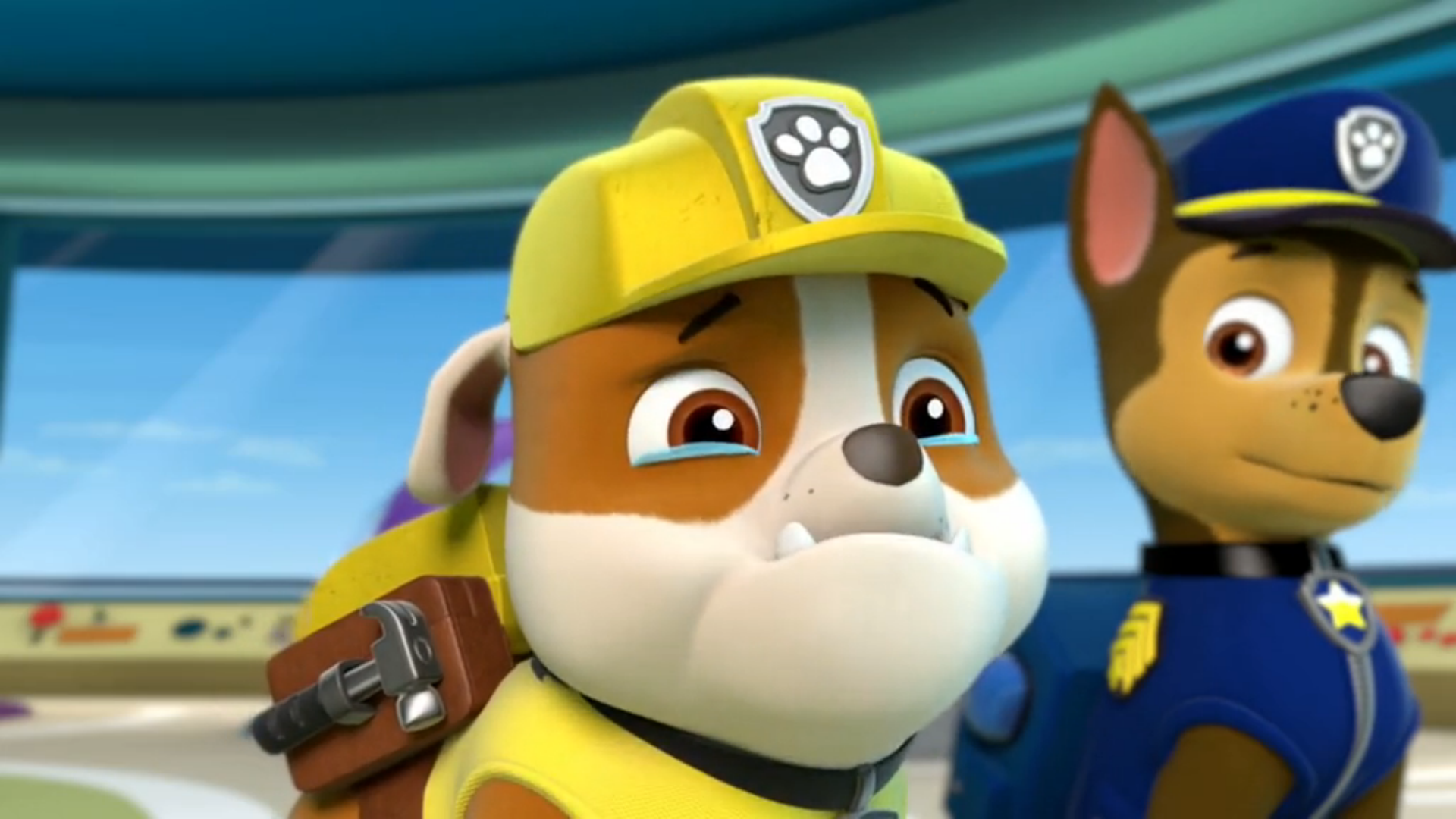paw patrol rubble