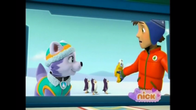 File:Pp2323.png