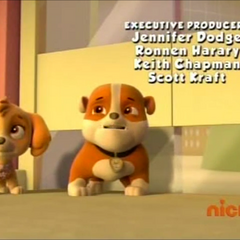 Skye/Gallery/Pups Turn on the Lights | PAW Patrol Wiki | FANDOM powered by Wikia