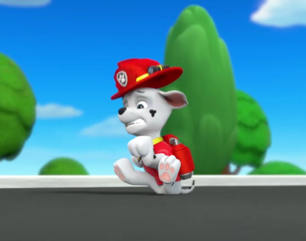 File:Vlcsnap-2014-05-26-20h04m46s68.png