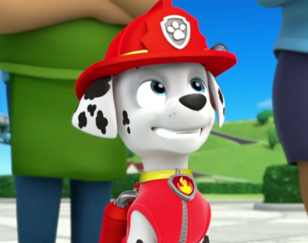 File:Vlcsnap-2014-05-26-20h01m18s46.png