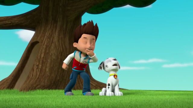 File:PAW Patrol Season 2 Episode 10 Pups Save a Talent Show - Pups Save the Corn Roast 261895.jpg