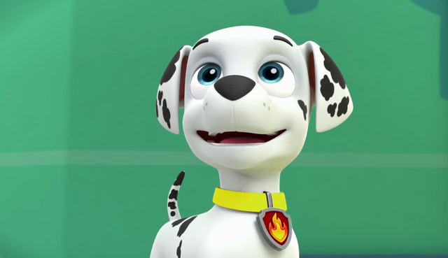 File:Vlcsnap-2017-05-30-06h08m05s644.png